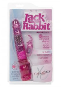 Petite Jack Rabbit