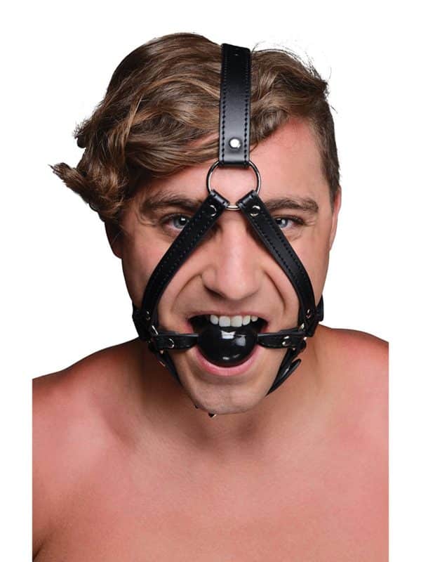 Head harness and ball gag
