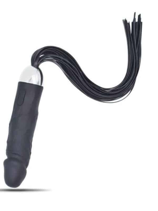 Vibrator and whip